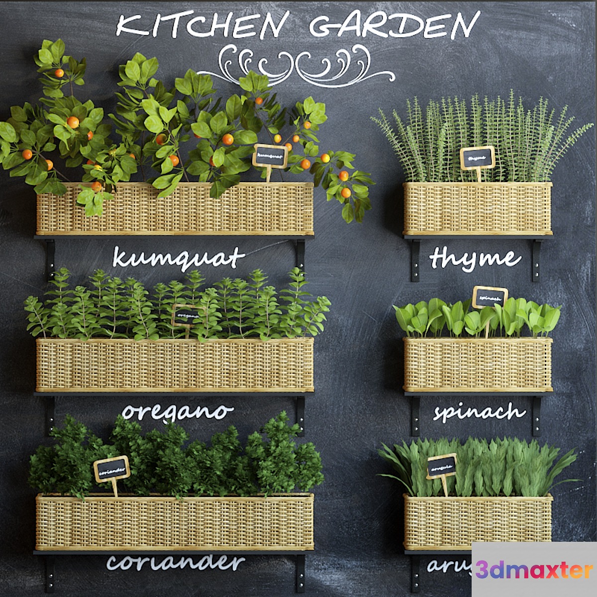 Kitchen garden 3 - No.2