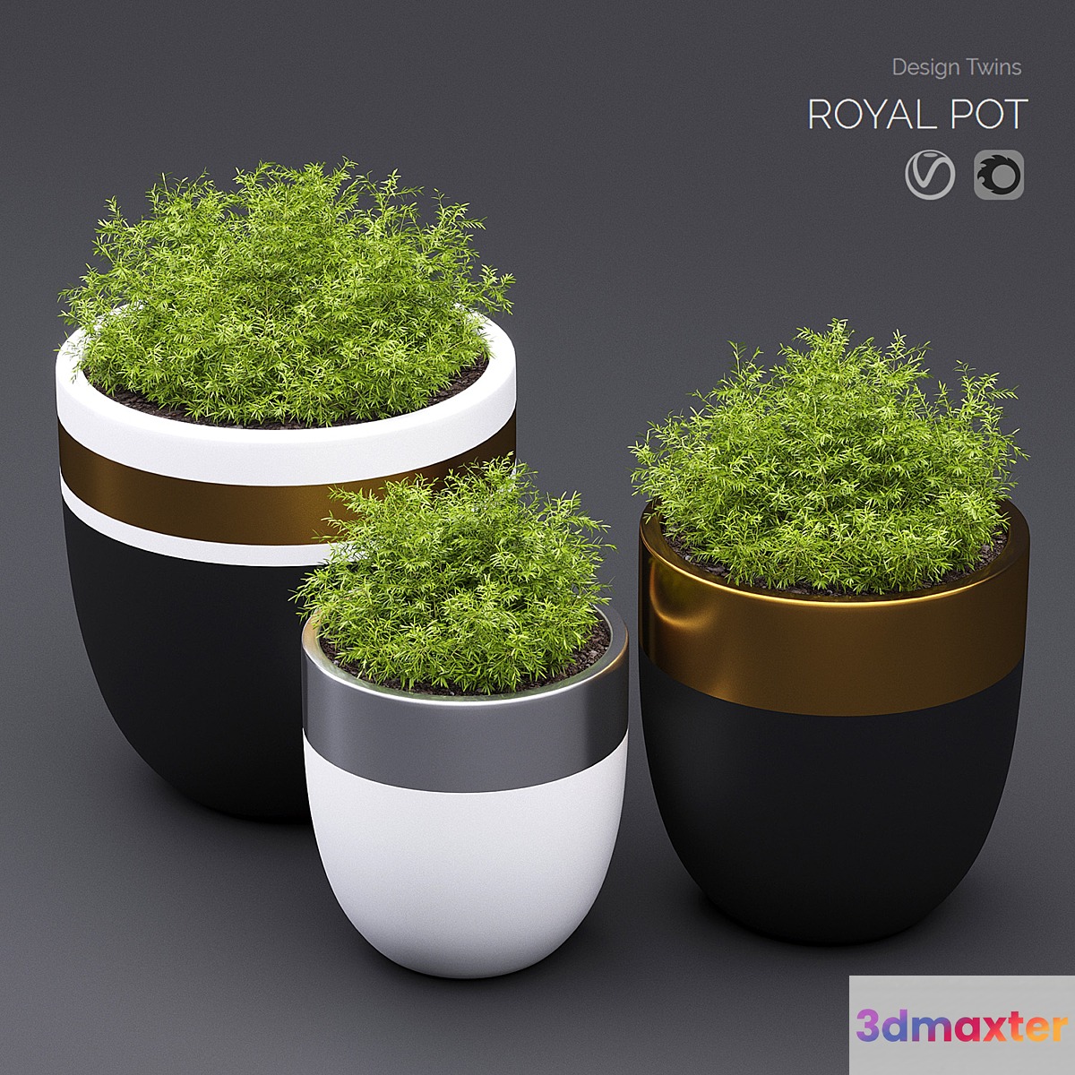 royal_pot 3D Max