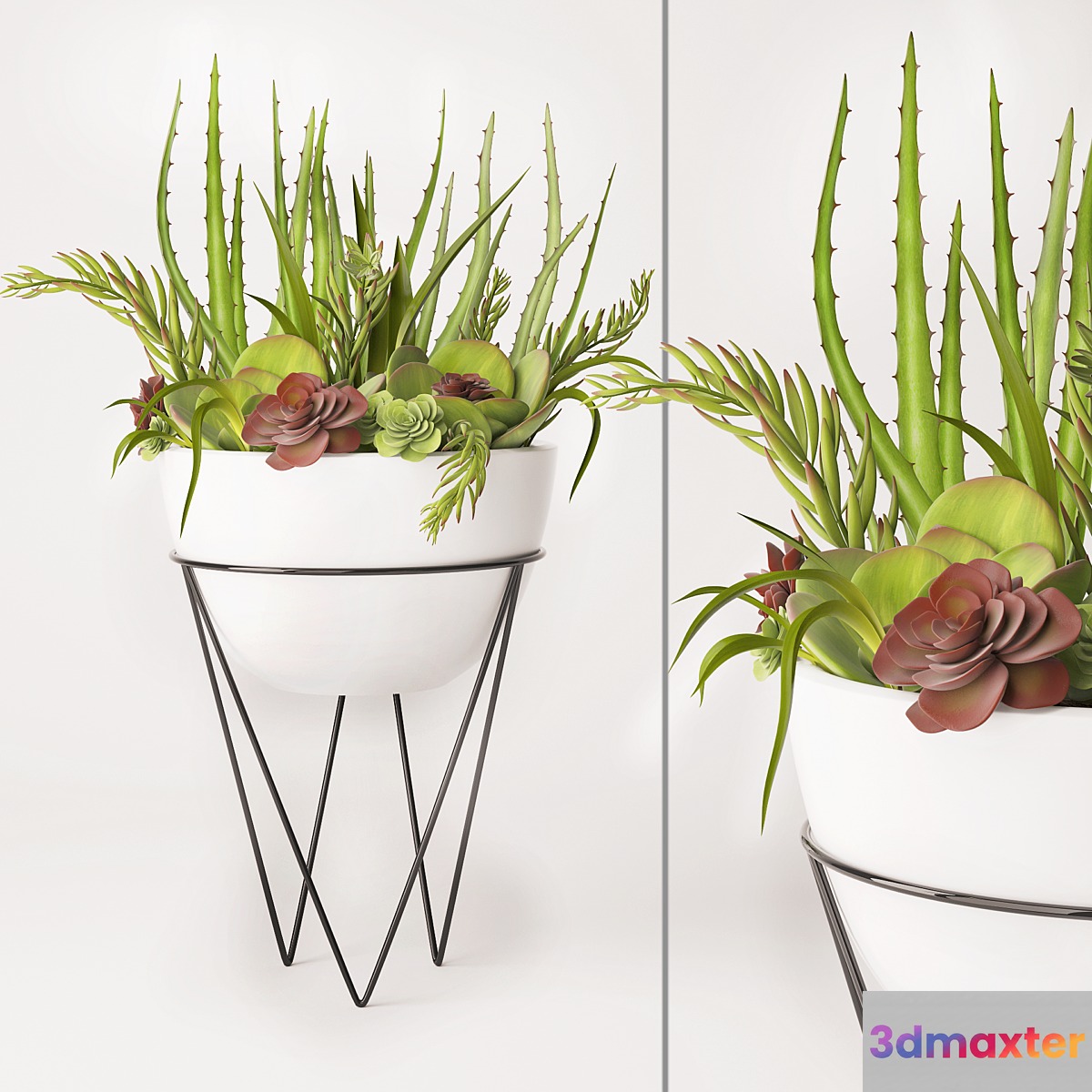 Succulent arrangement - No.2