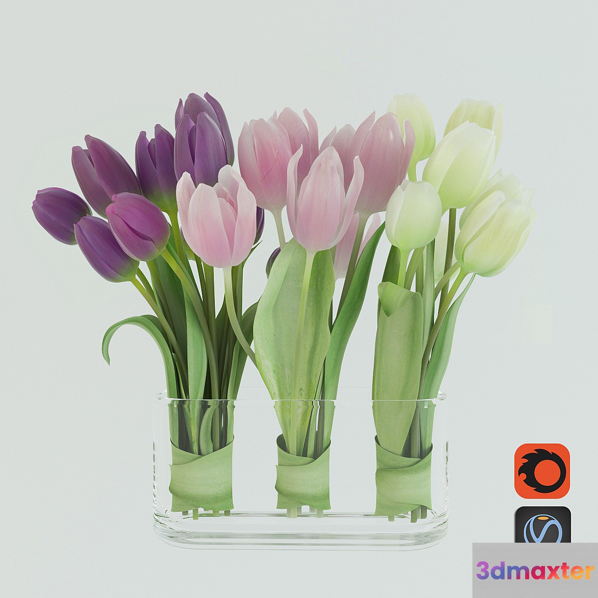 Tulips - No.25