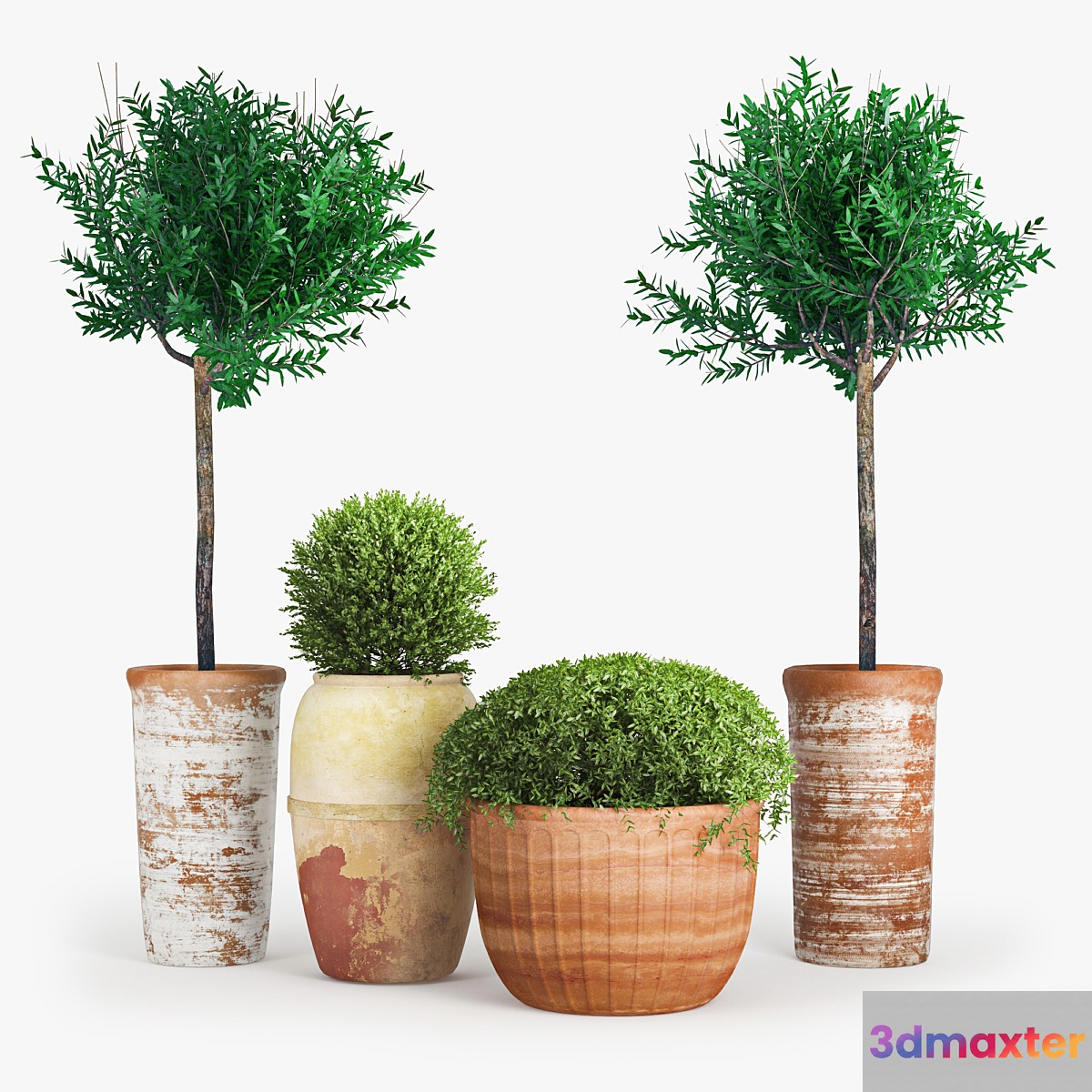 Clay_Plant_Set 3D Max