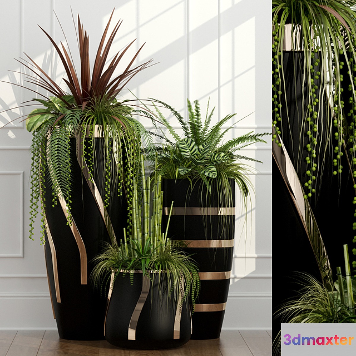 Room plants 15 - No.3