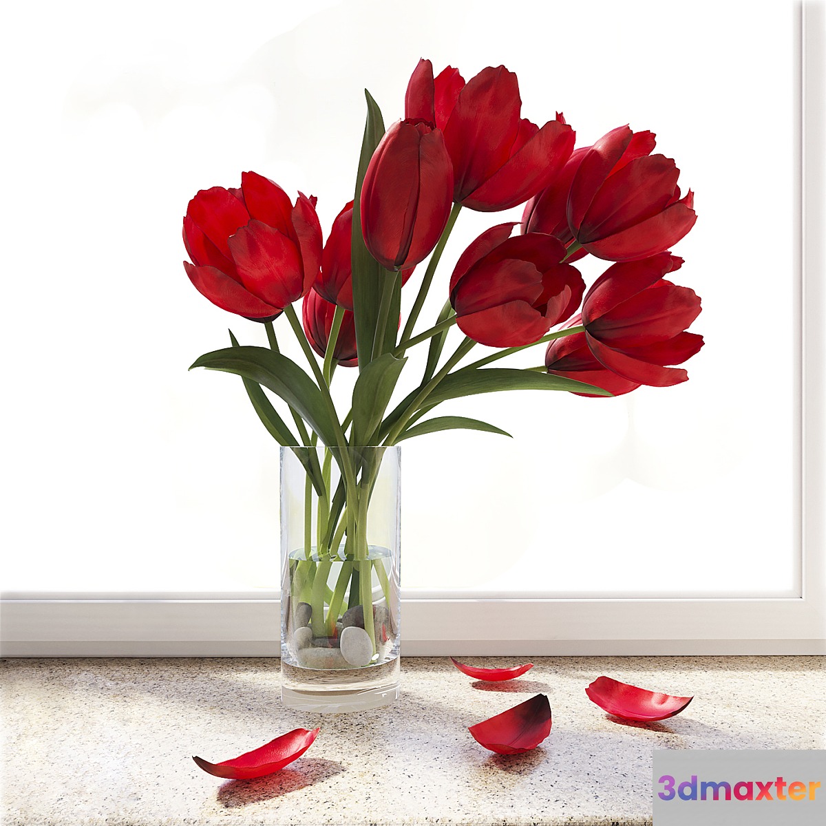 Tulips 3D Max