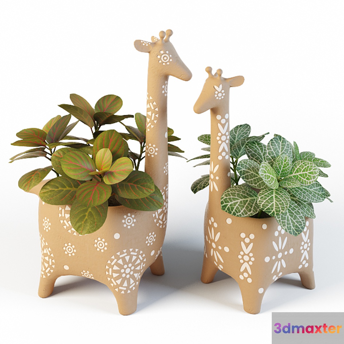 Giraffe Pots and Fittonia