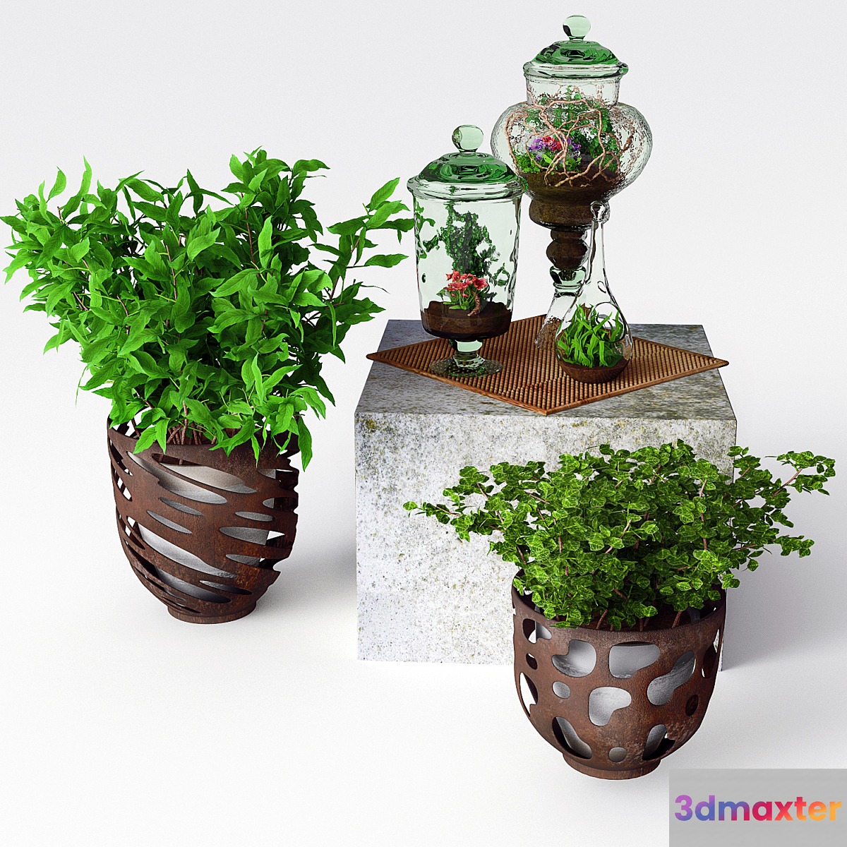 Glass terrariums with flowers and loach 3D Max