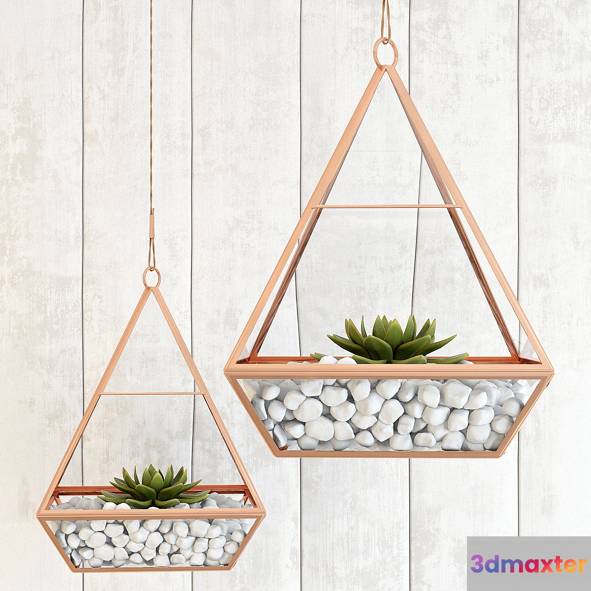 Pedant succulents 3D Max