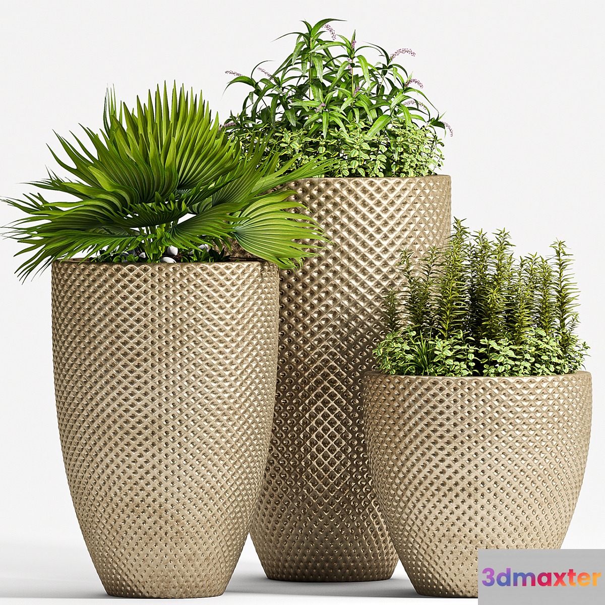 PLANT SET - 68