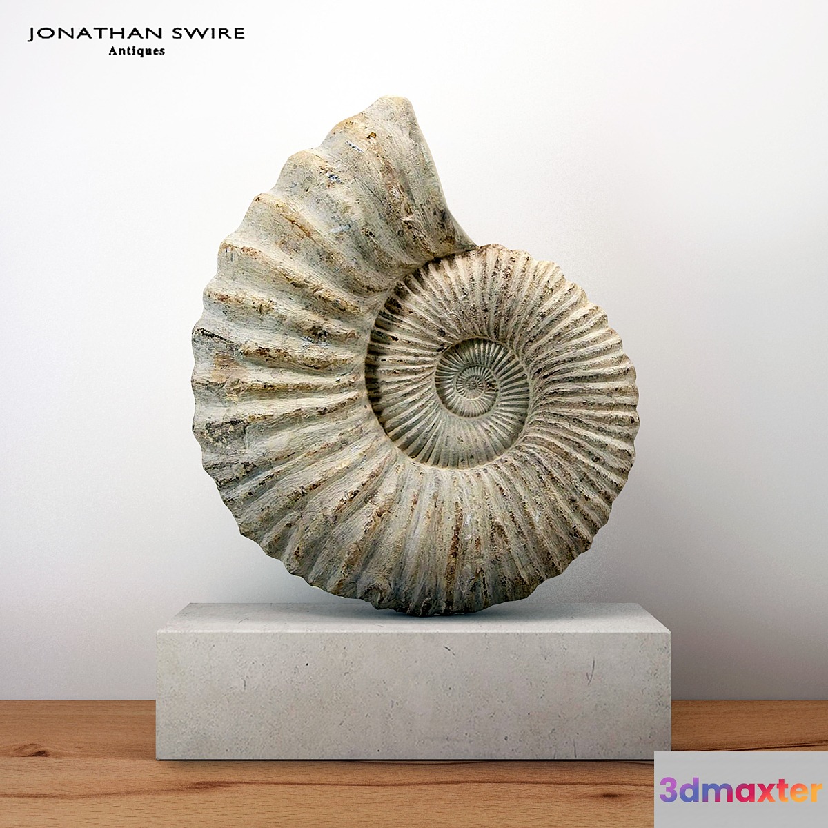 Large Ammonite Mounted on a Limestone Base 3D Max