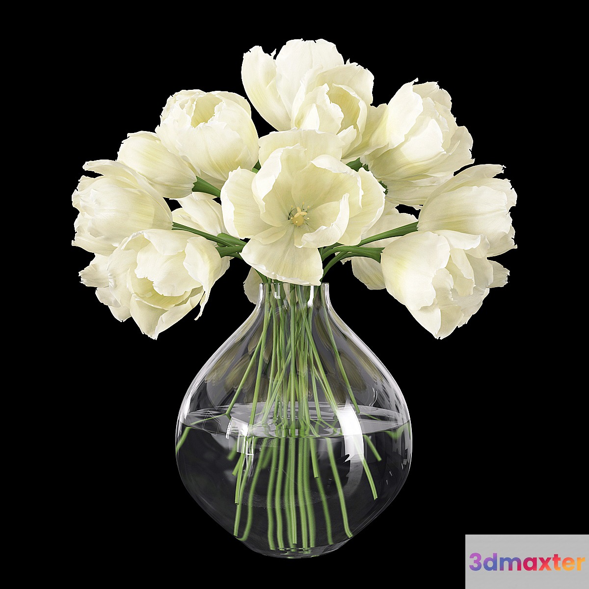 Tulips in a Vase 3 3D Max