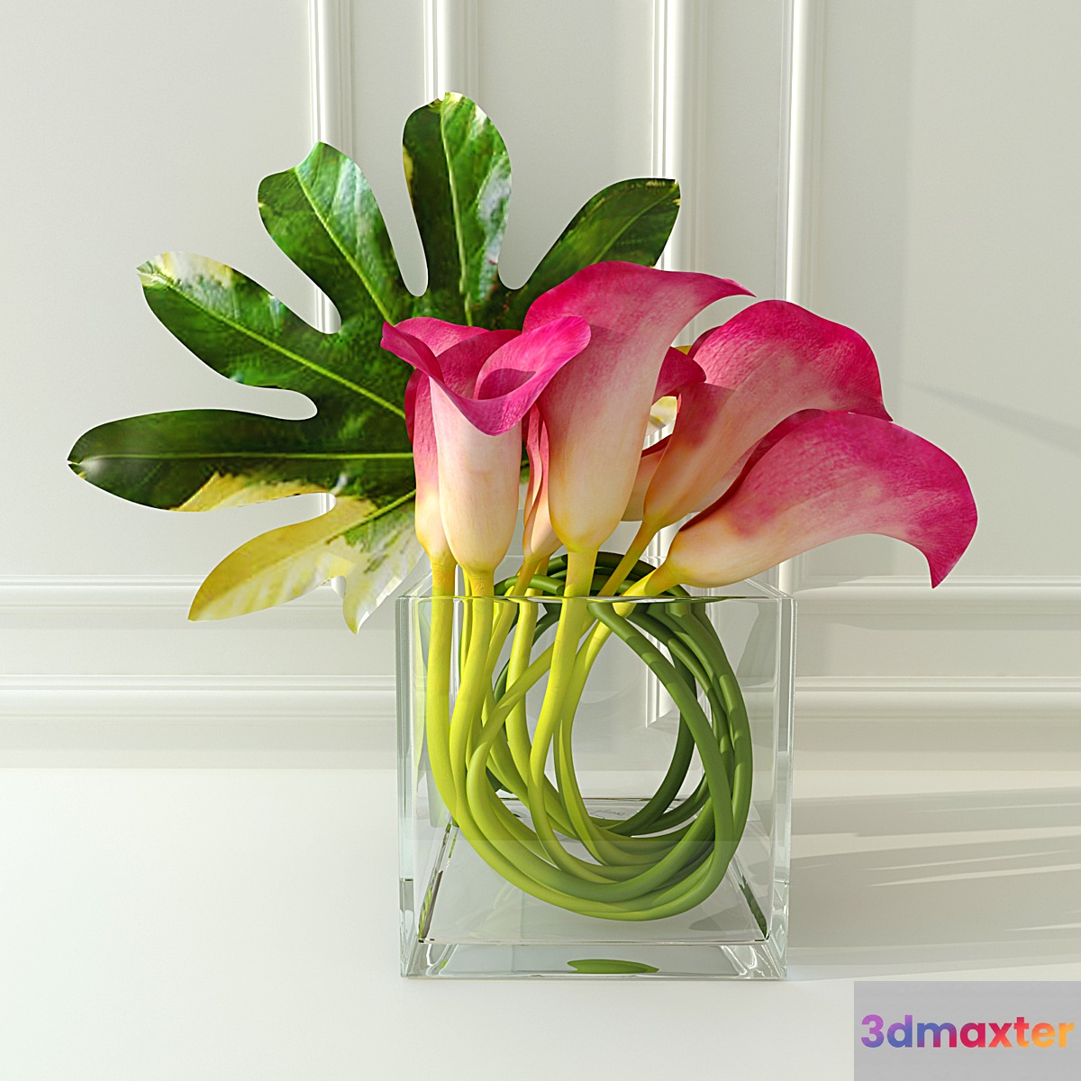 Calla lilies 3D Max