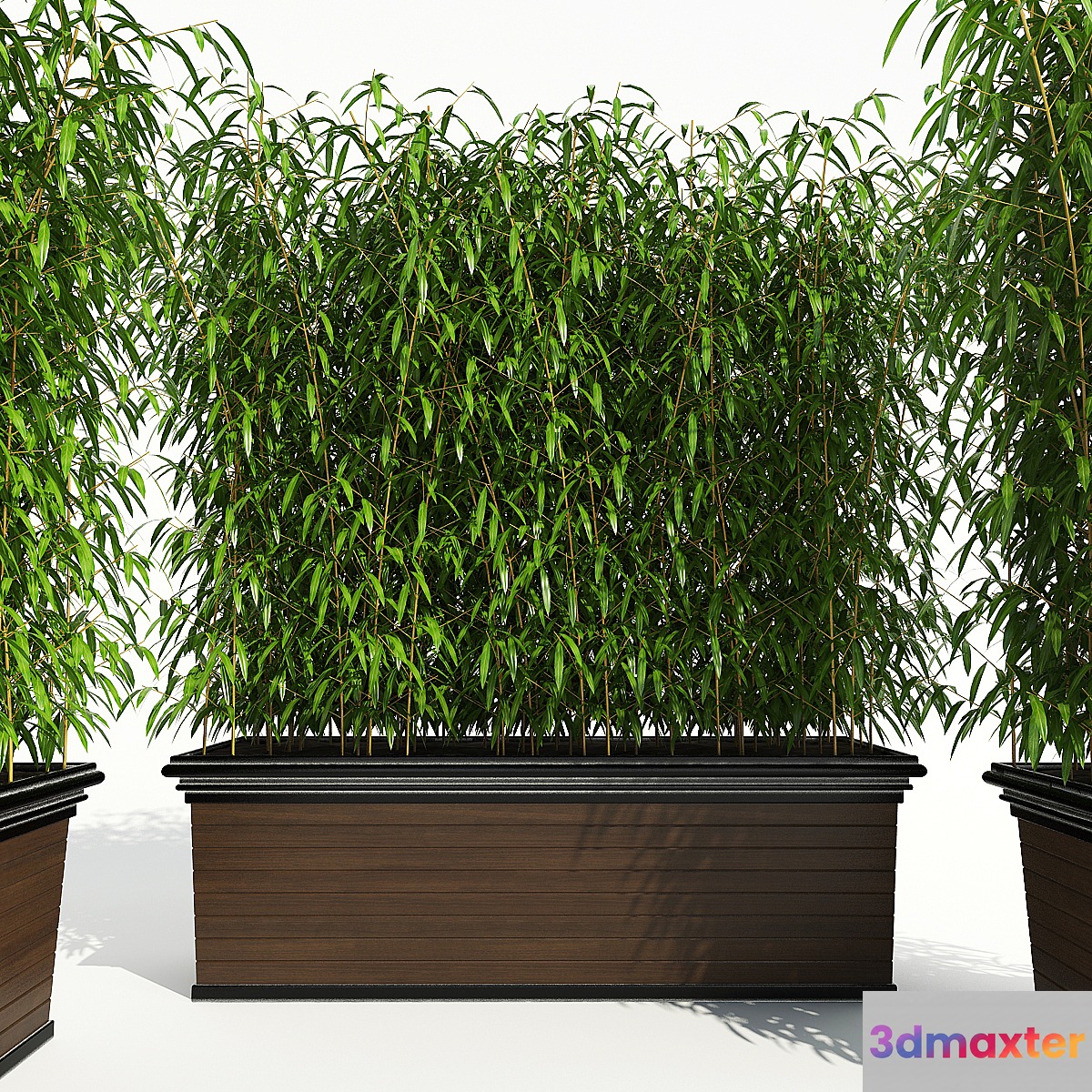 Decorative Plant 2 3D Max