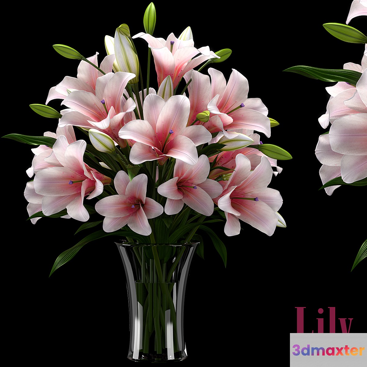 LILY 2 3D Max