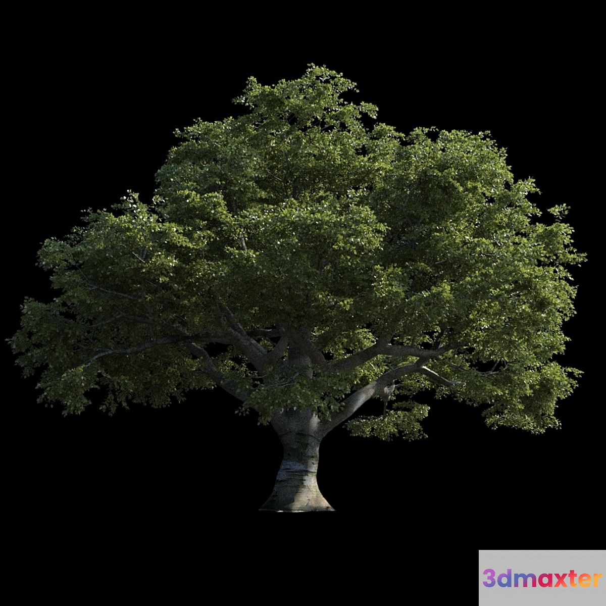 Beech great Razlog 3D Max
