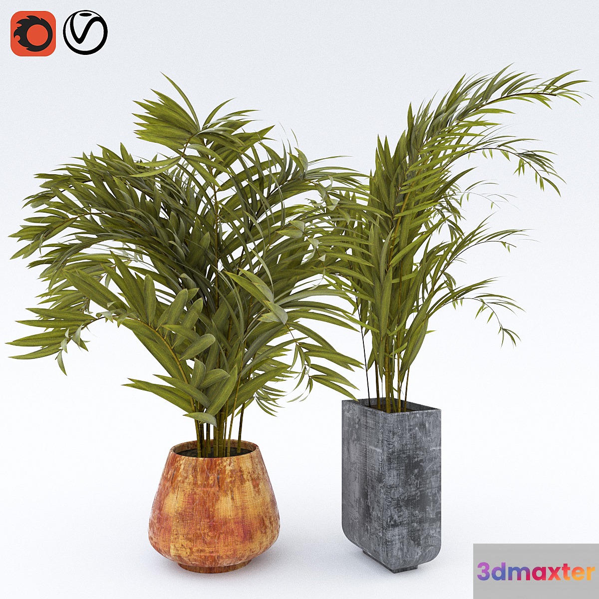 Plant_1 3D Max