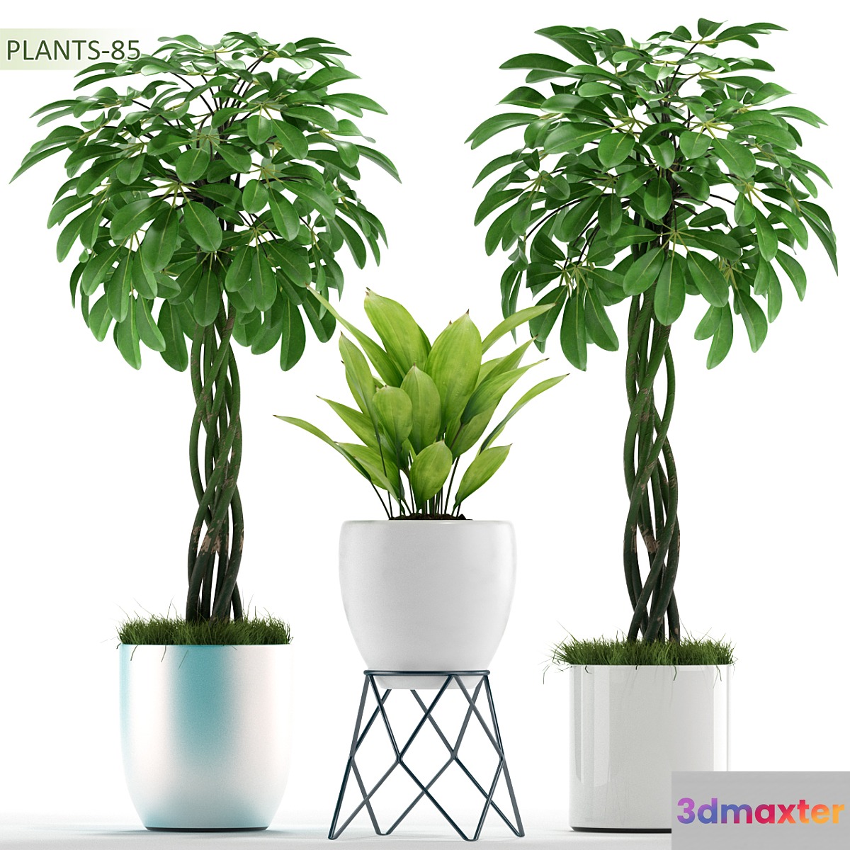 PLANTS 85 - No.2