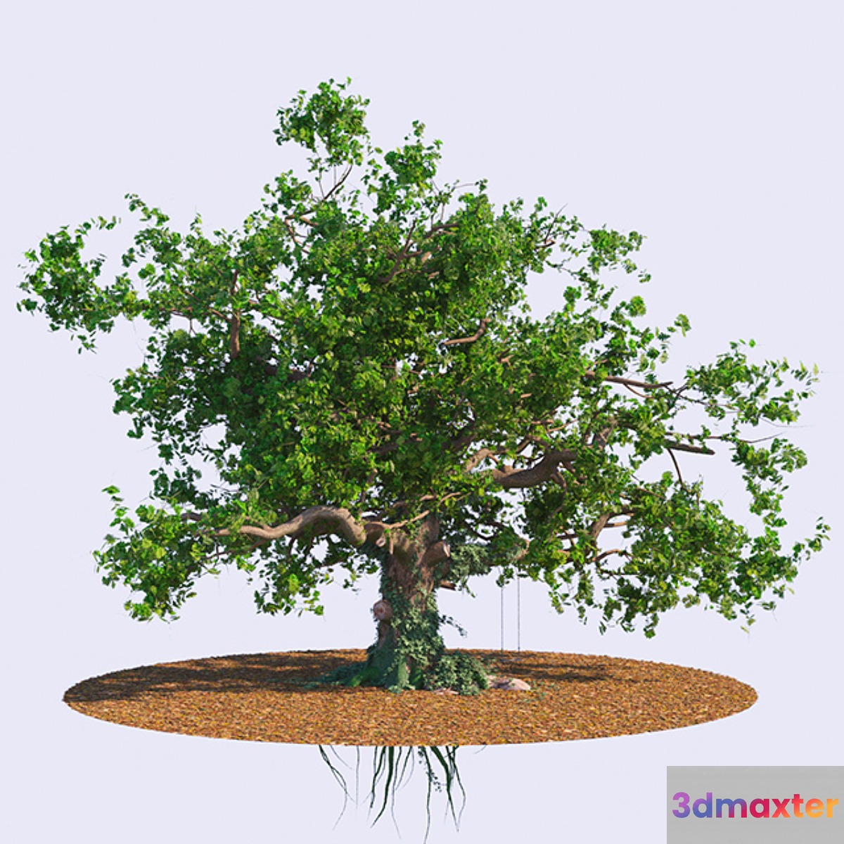 The old oak 3D Max