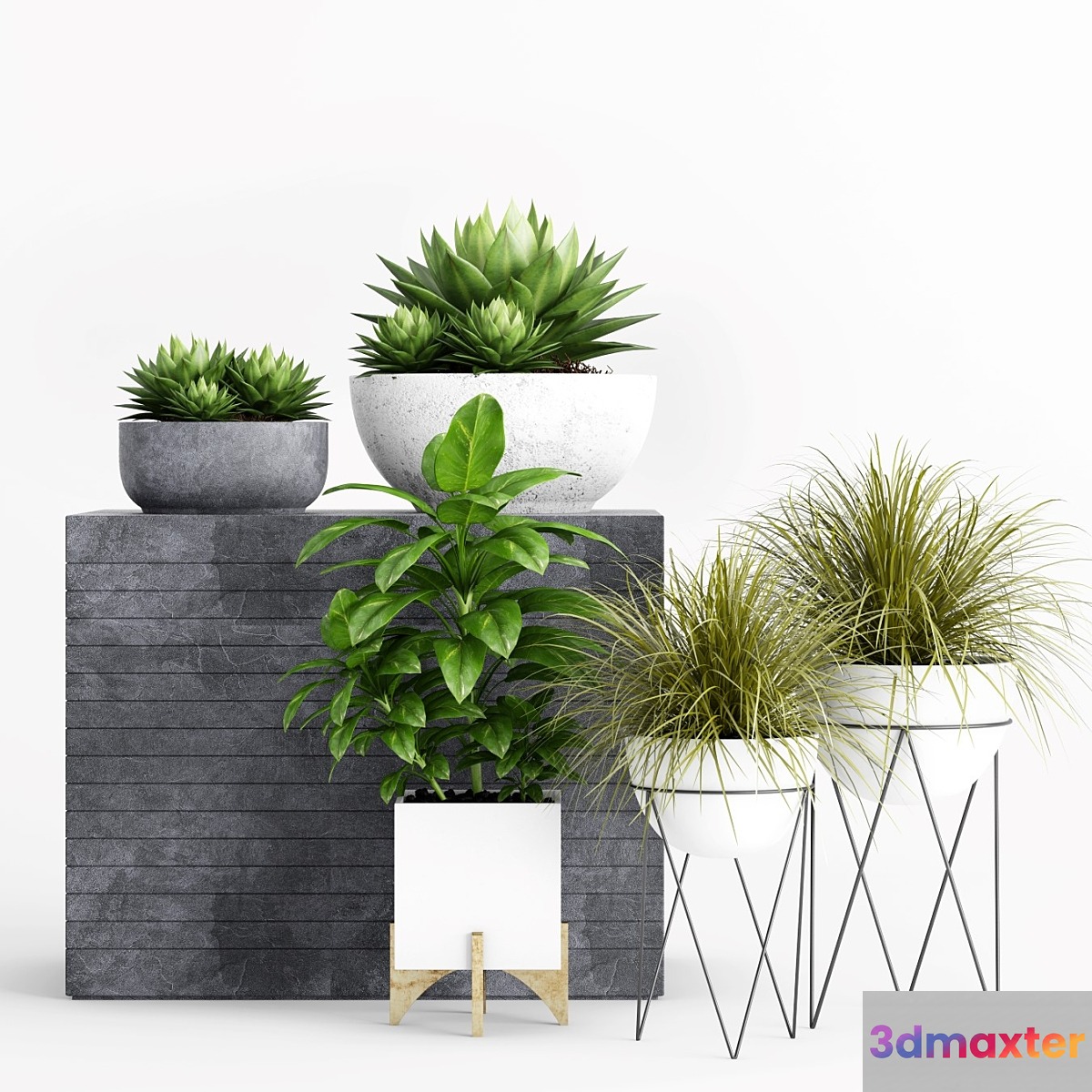 Plants and Planters _1 - No.2