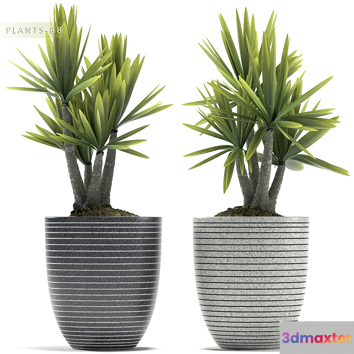 PLANTS 88 - No.3