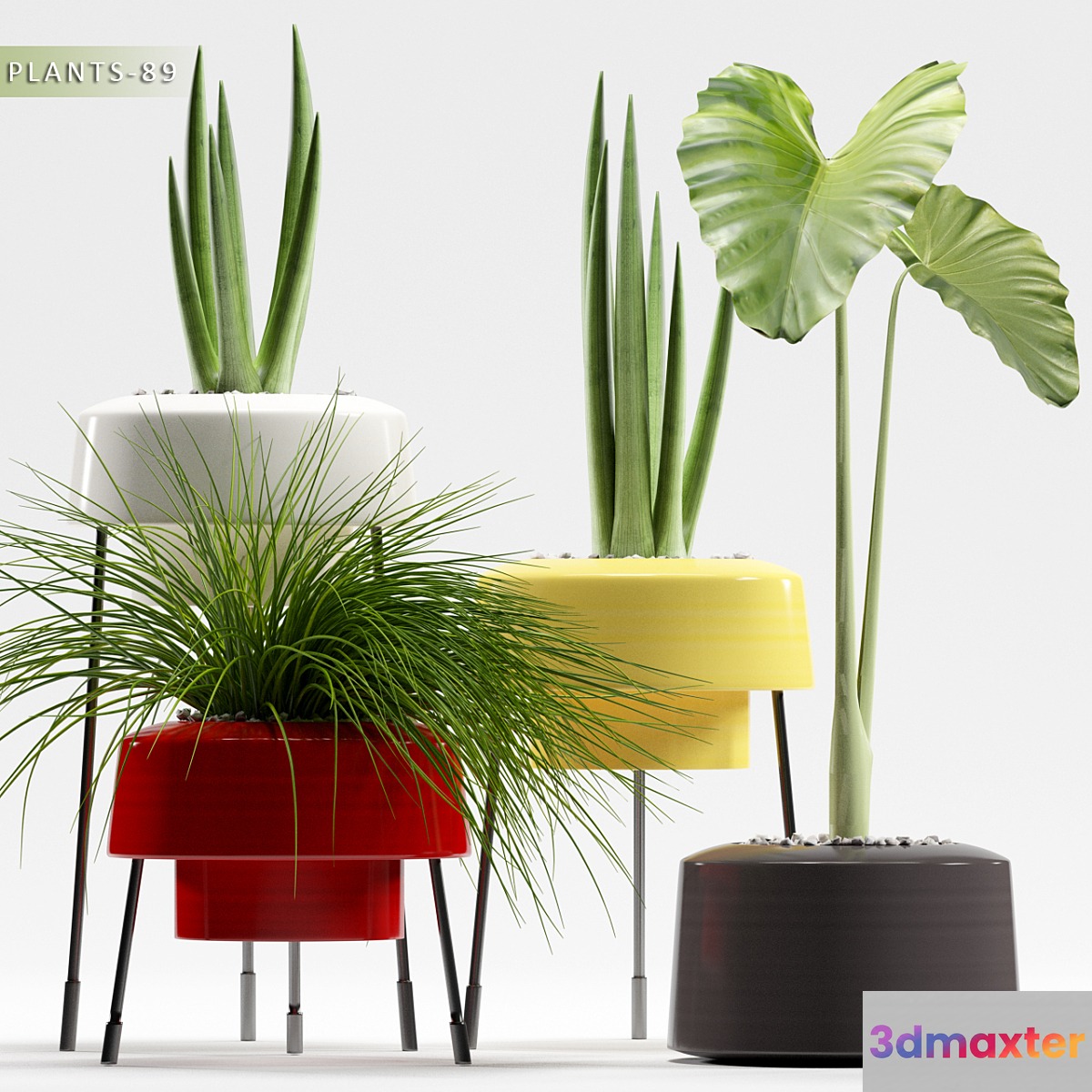 PLANTS 89