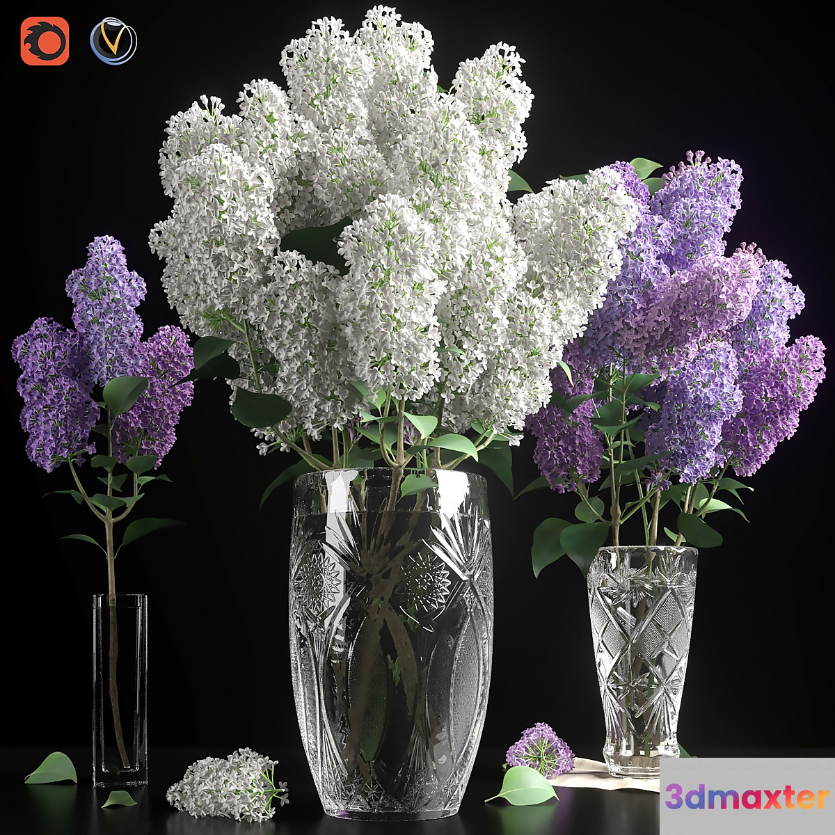 LILAC 3 in 1 _ LILAC - No.2