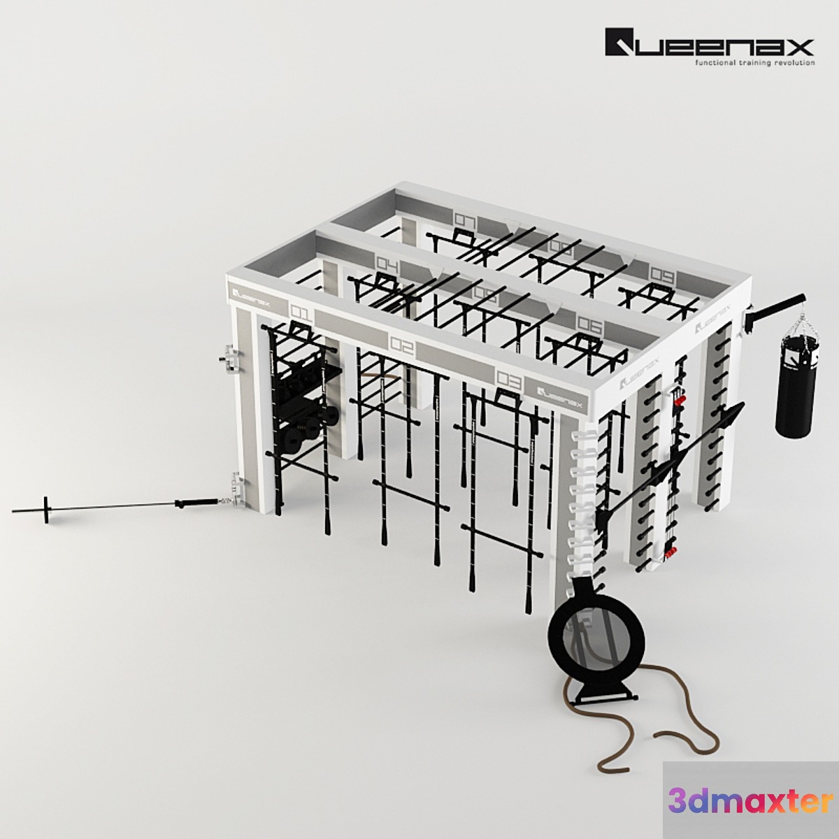 Precor Queenax Functional Training 3D Max