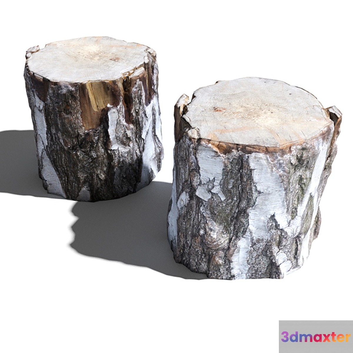 Cutted trunk 3D Max