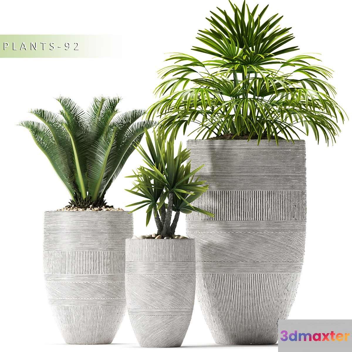 PLANTS 92 - No.3