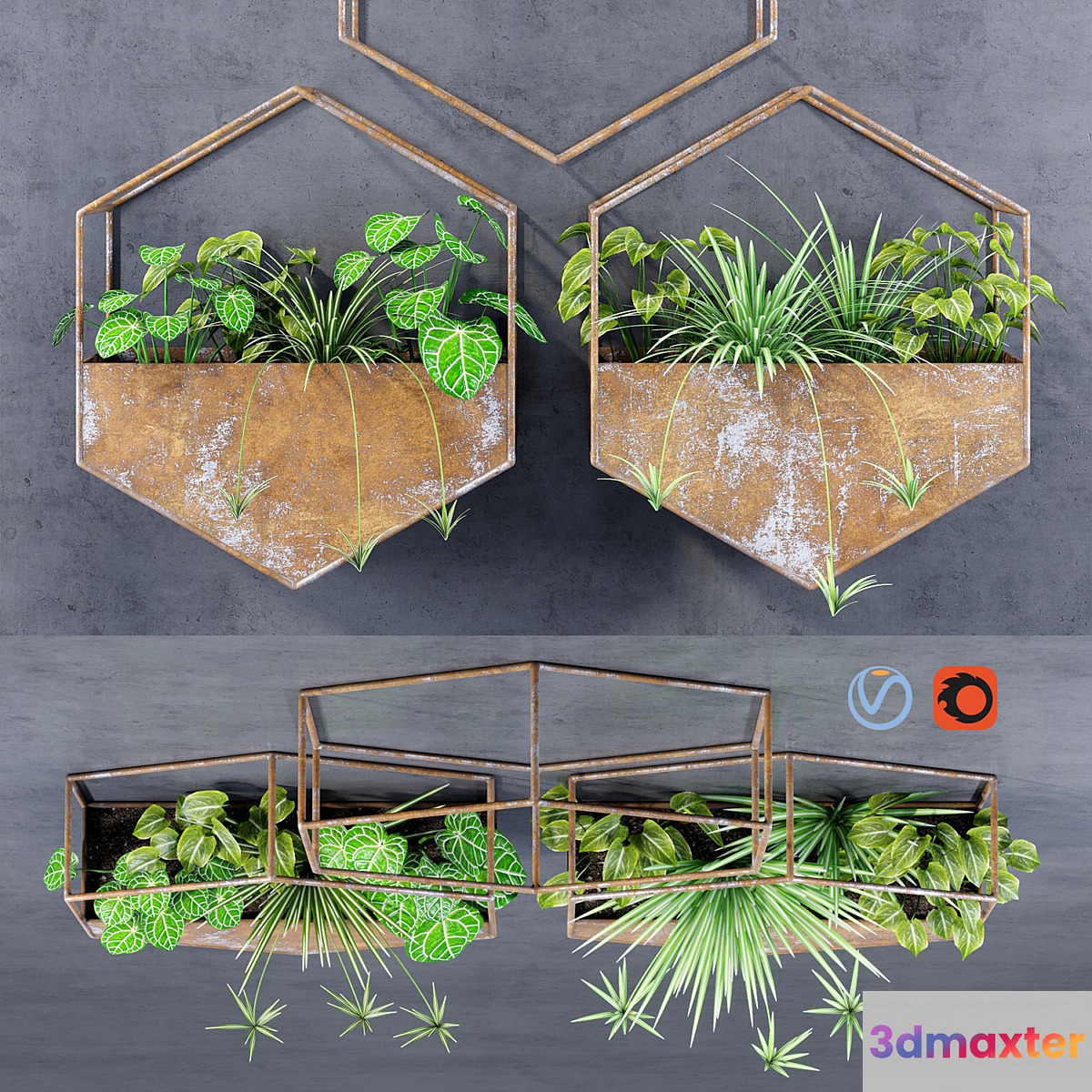 Hexagon shelves 3D Max