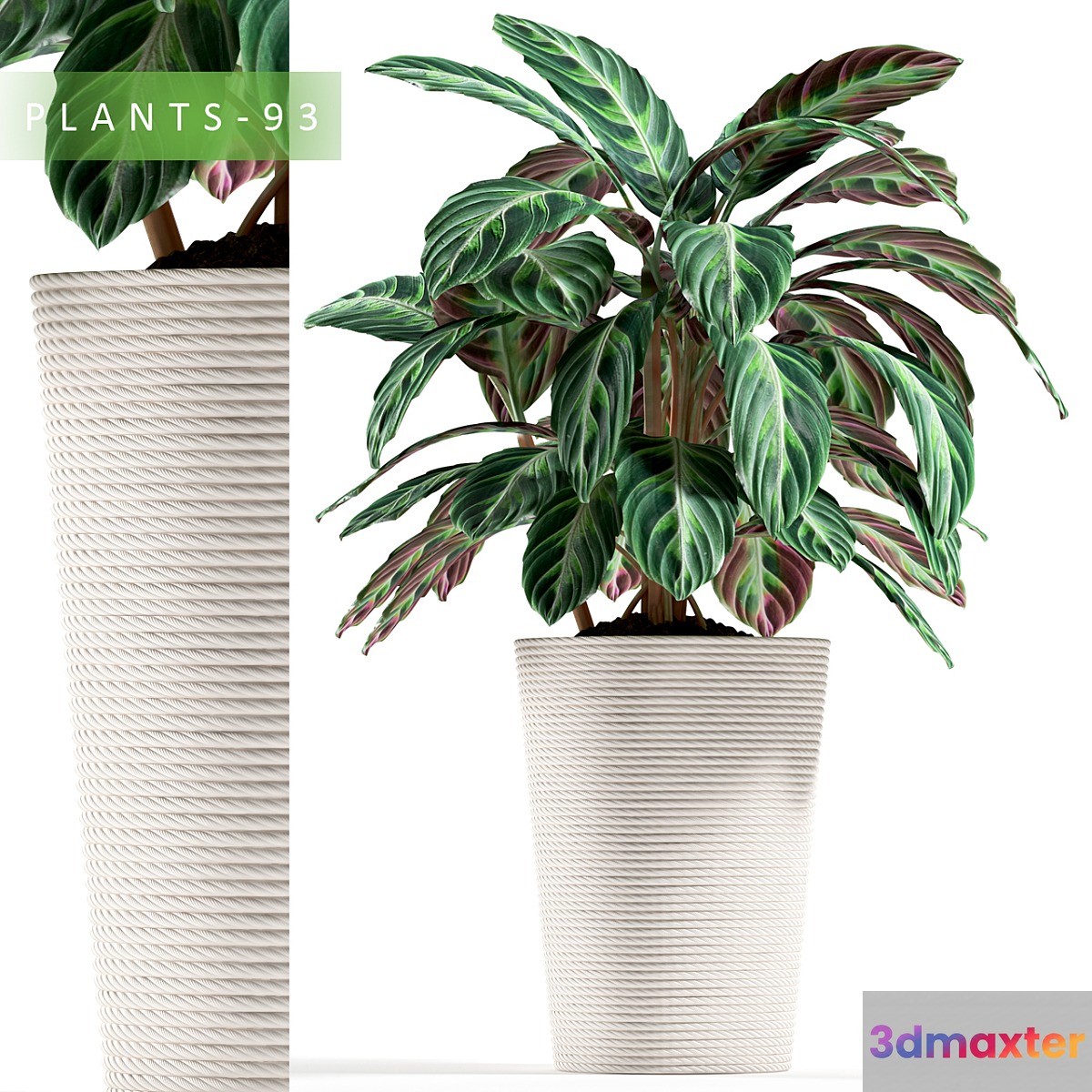 PLANTS 93 3D Max PLANTS 93 3D Max