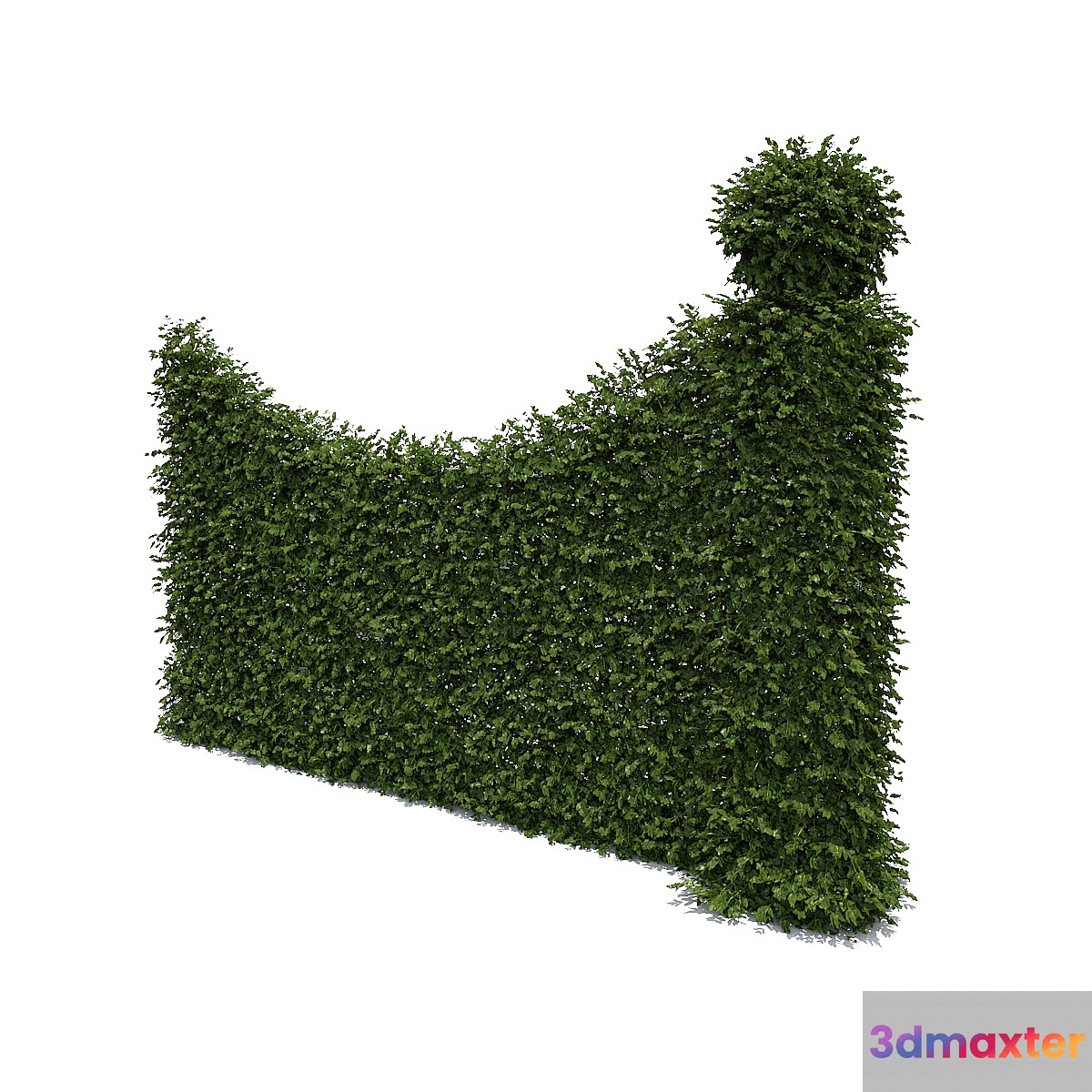 Living fence