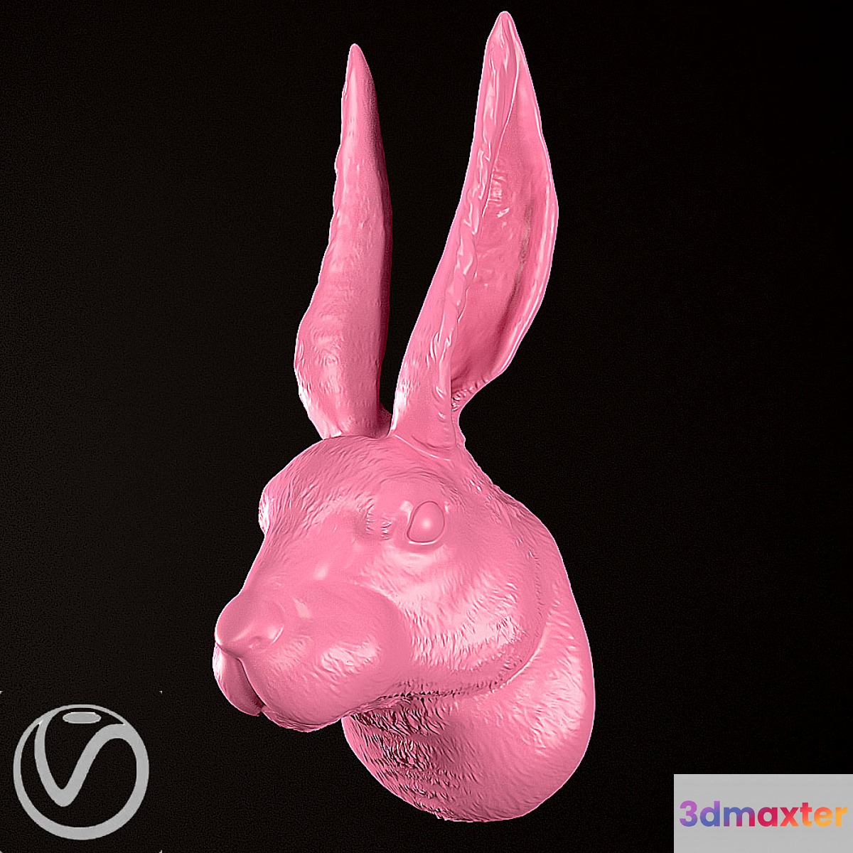 rabbit head