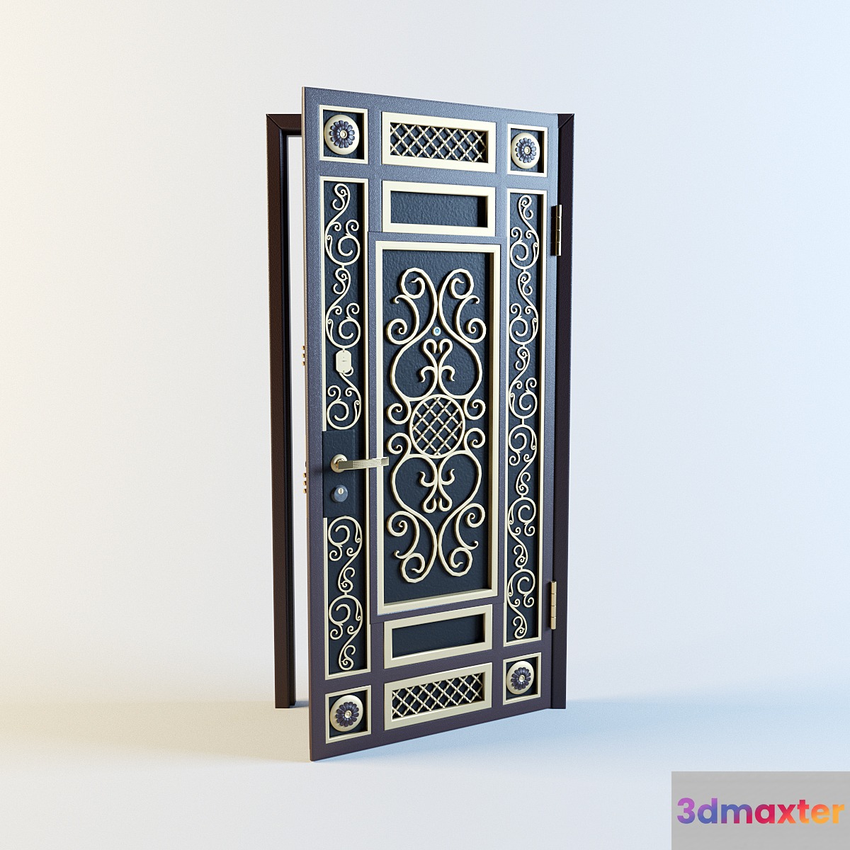 Metal entrance door 