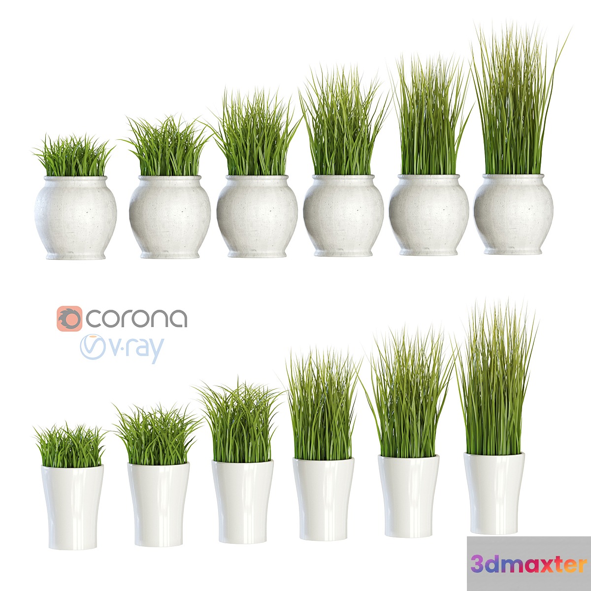 Grass in pots