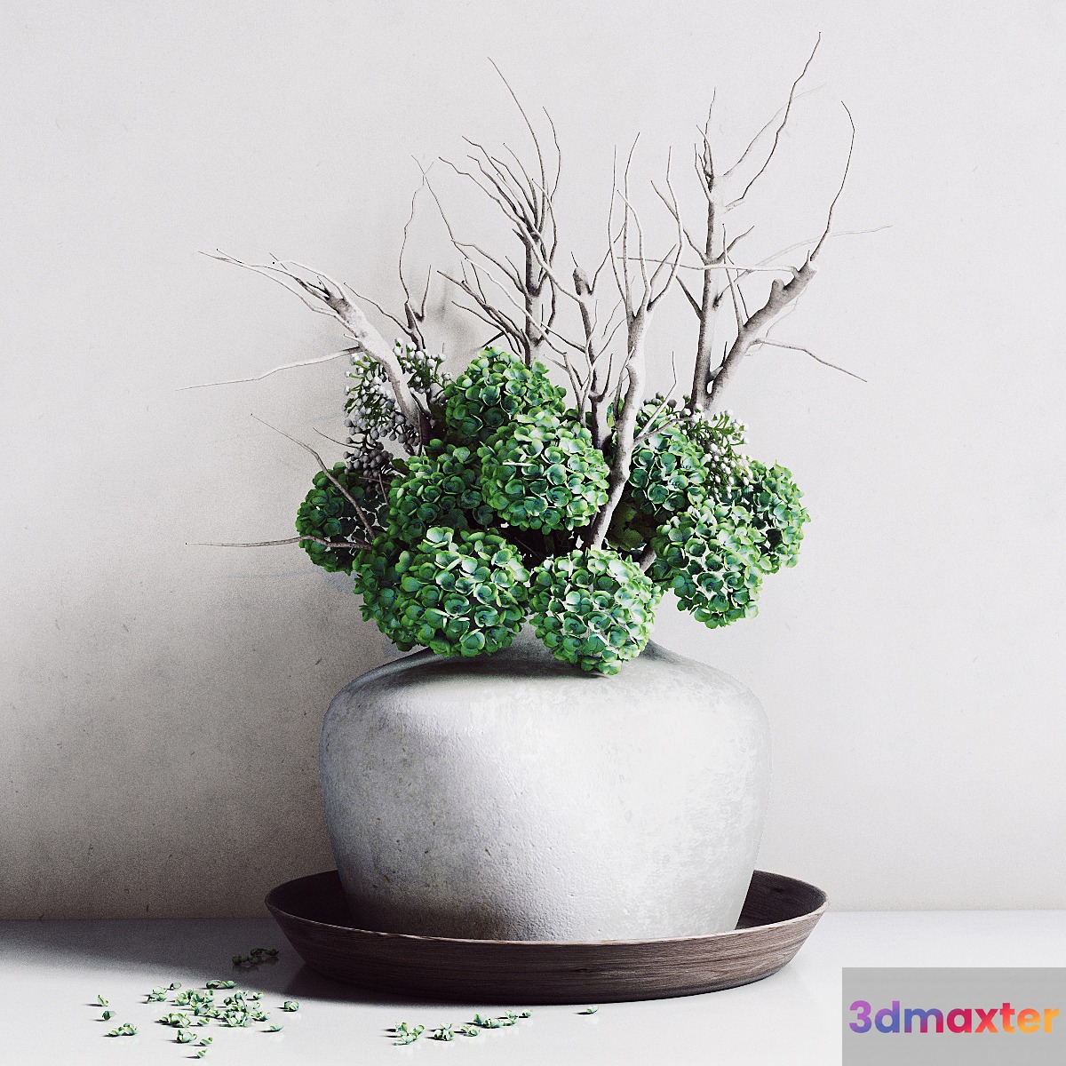Hydrangea Vase 3D Max