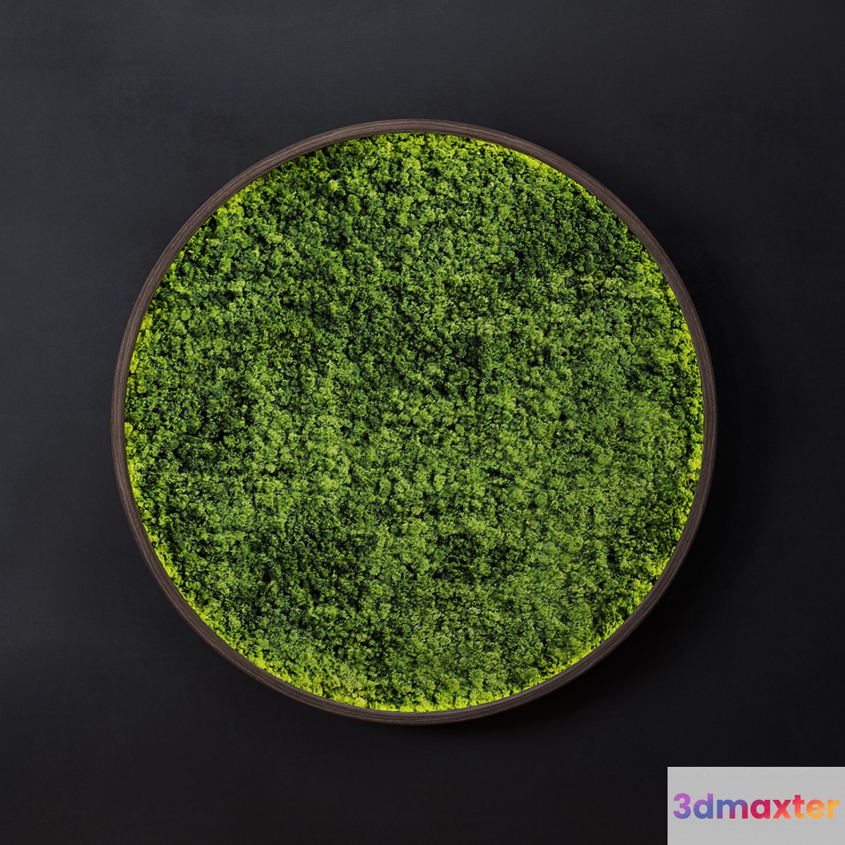 Moss wall disk 3D Max