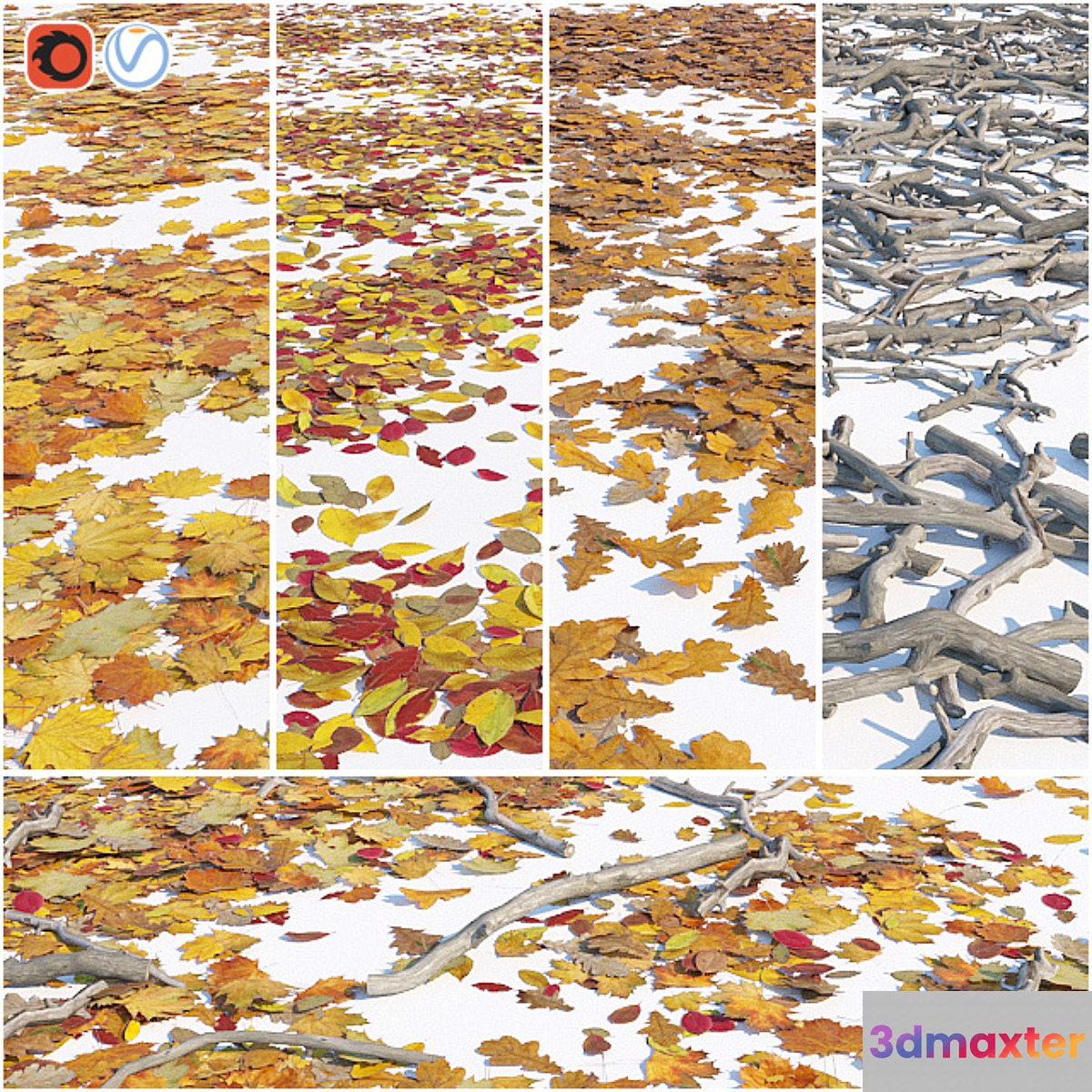 Set of dry leaves and twigs - No.3