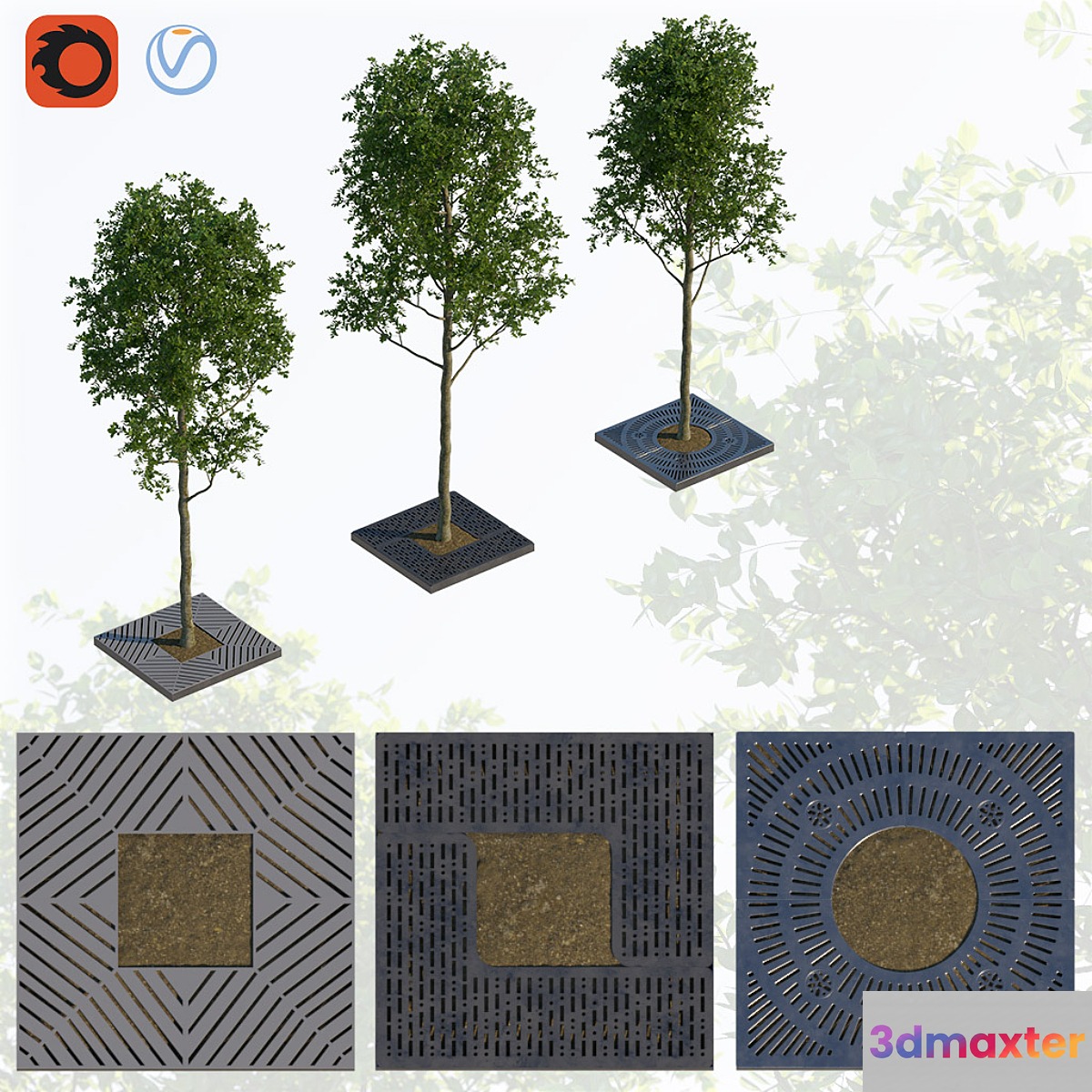 Trees and lattice