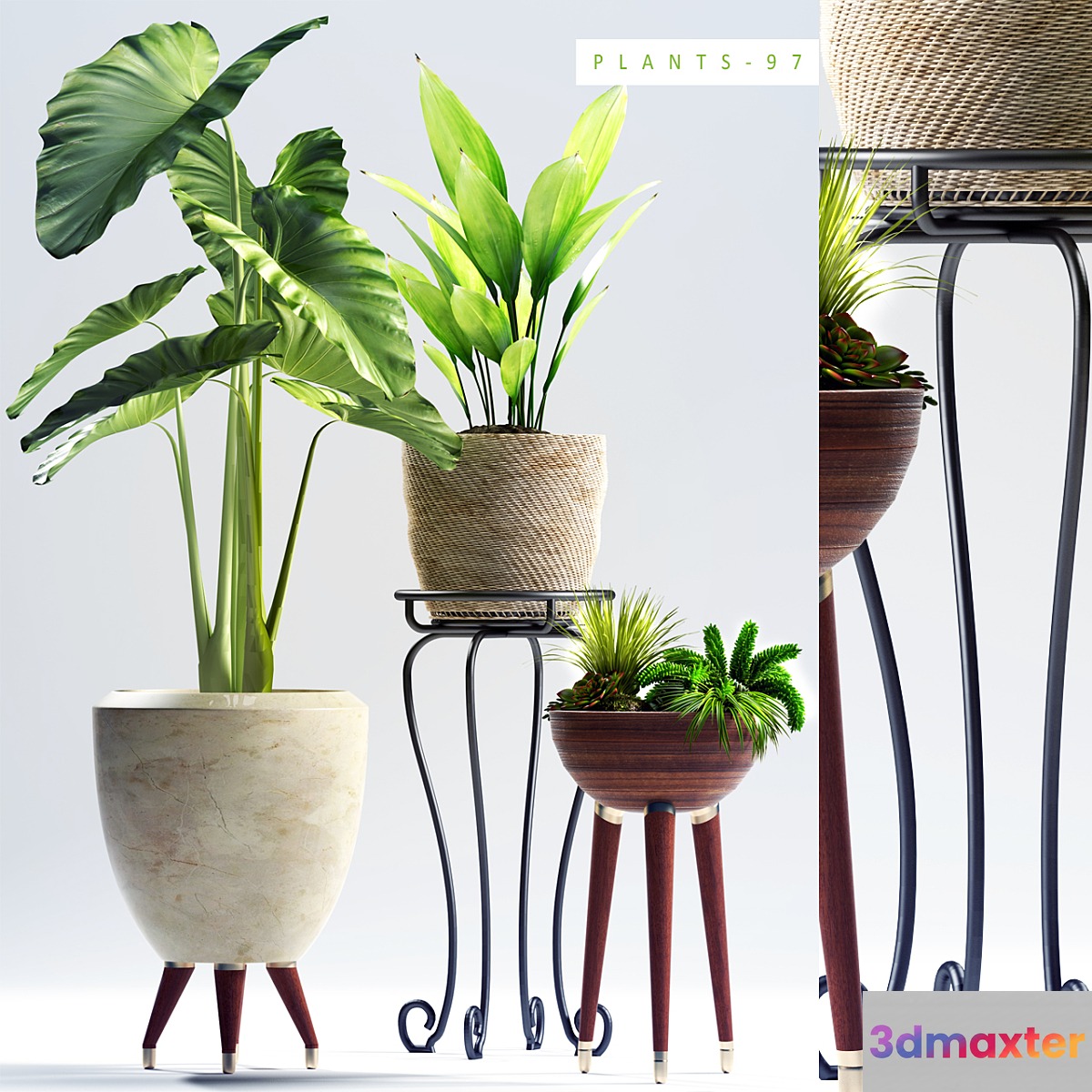 PLANTS 97