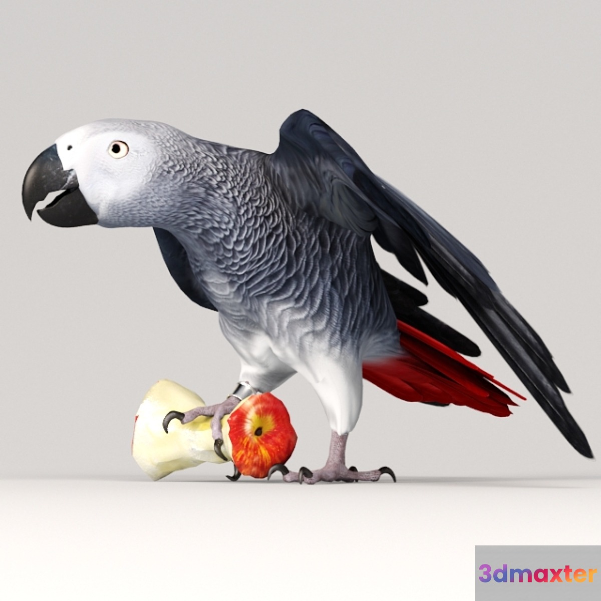 Parrot Jaco 3D Max
