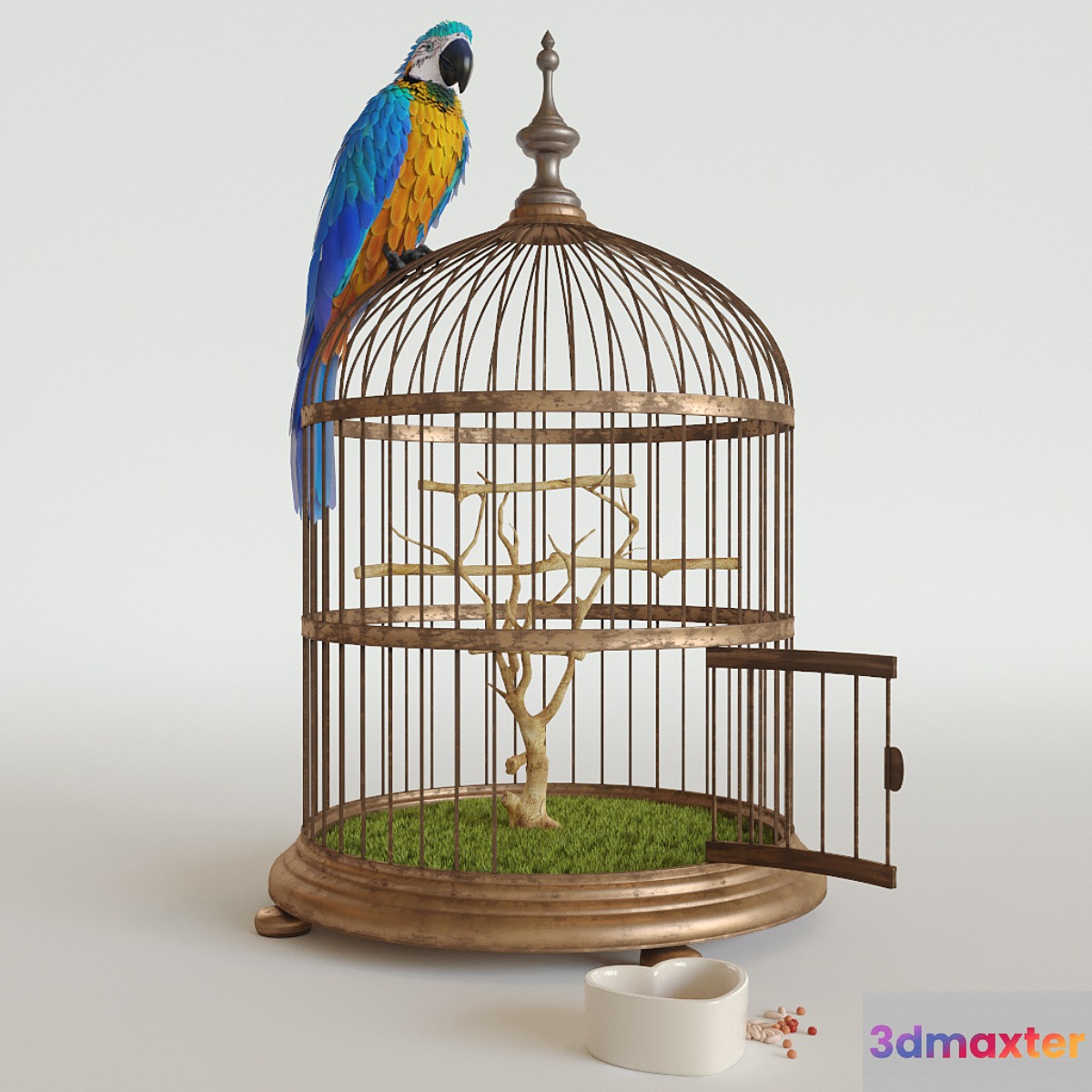 Parrot Ara