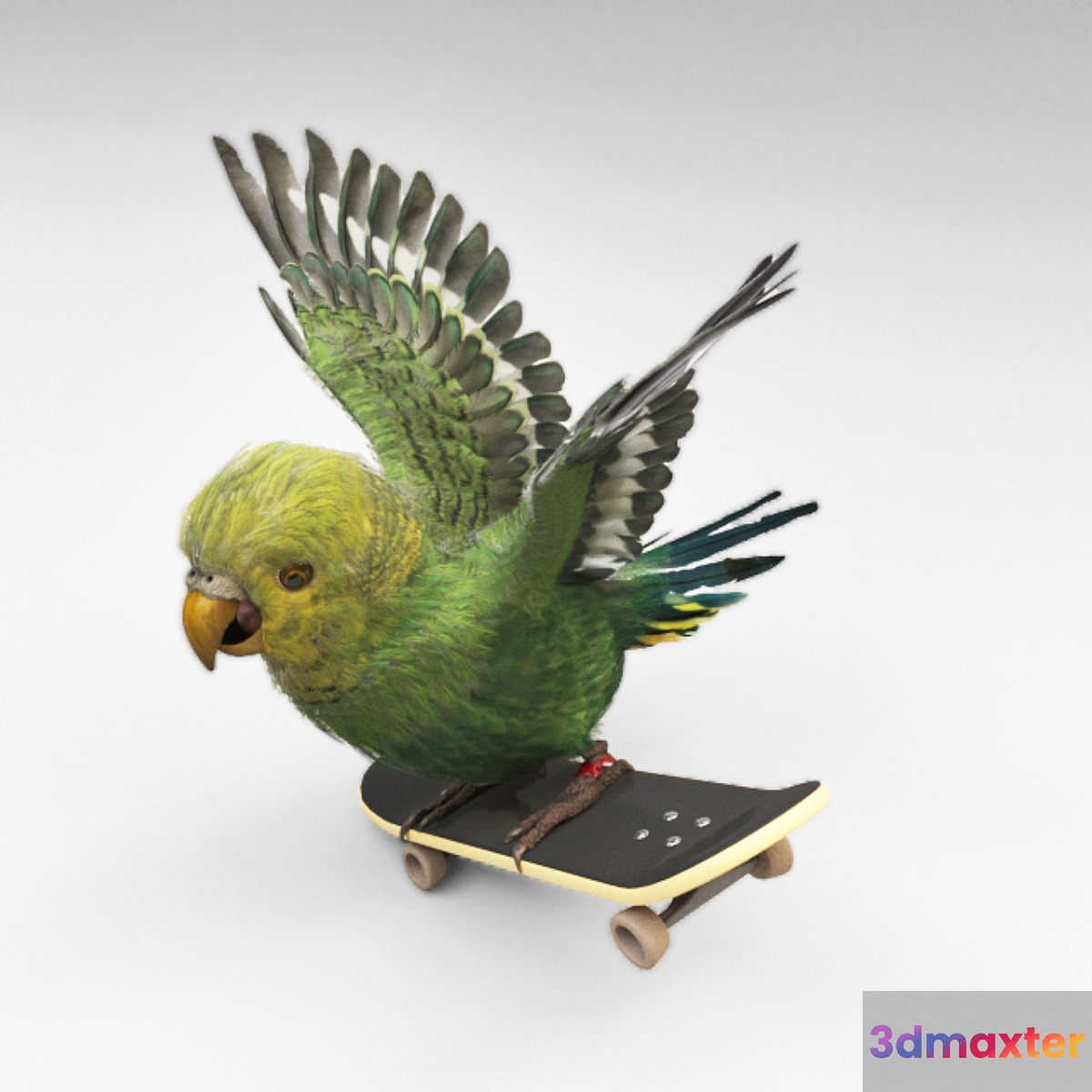 Parrot 3D Max