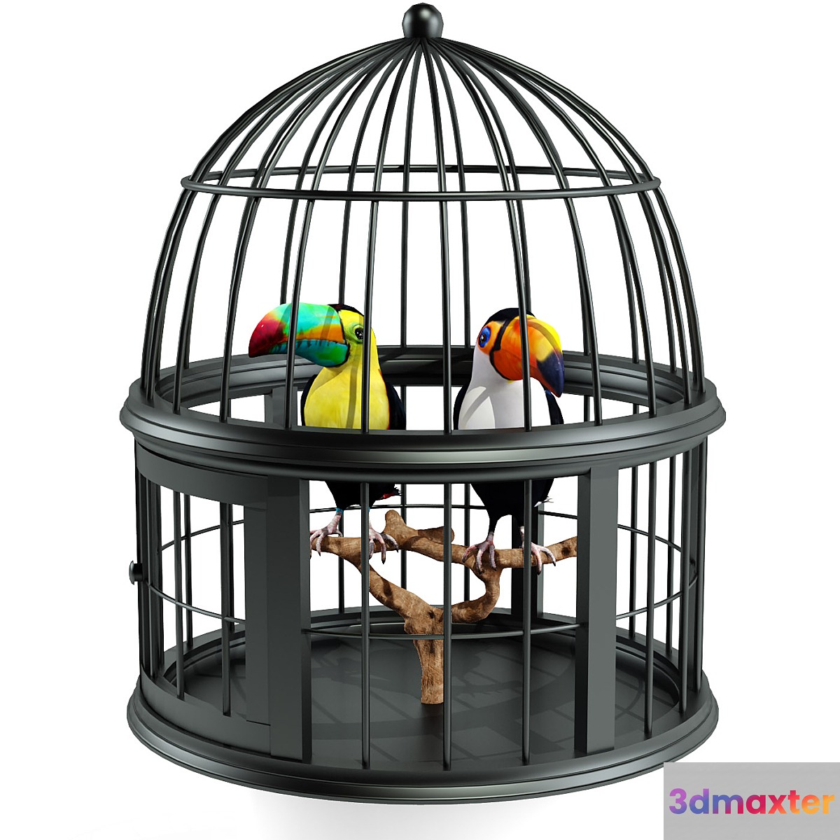 Toucan