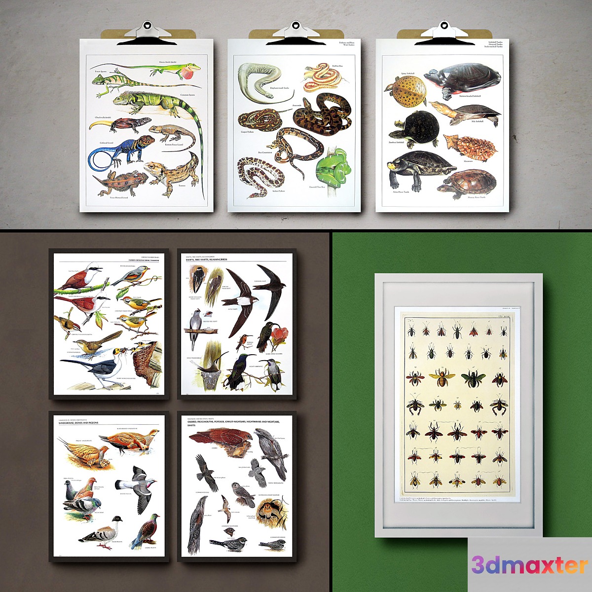 Botanical Vintage Book Pages. 24 Prints (set 3) 3D Max