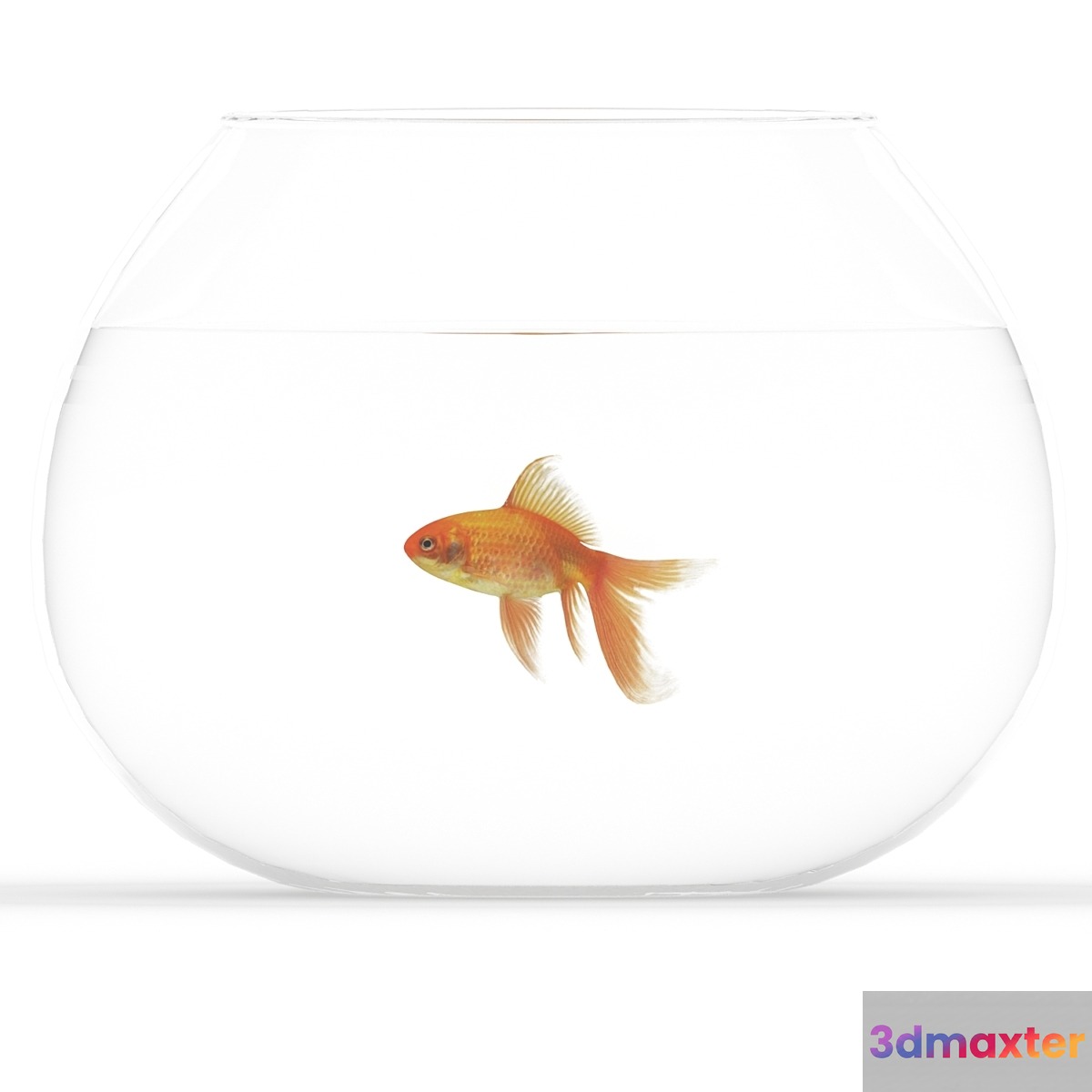 Golden fish - No.2 3D Max