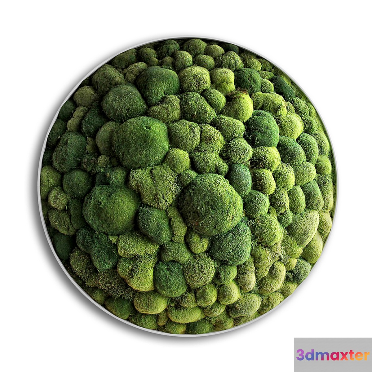 panel moss boulder 3D Max