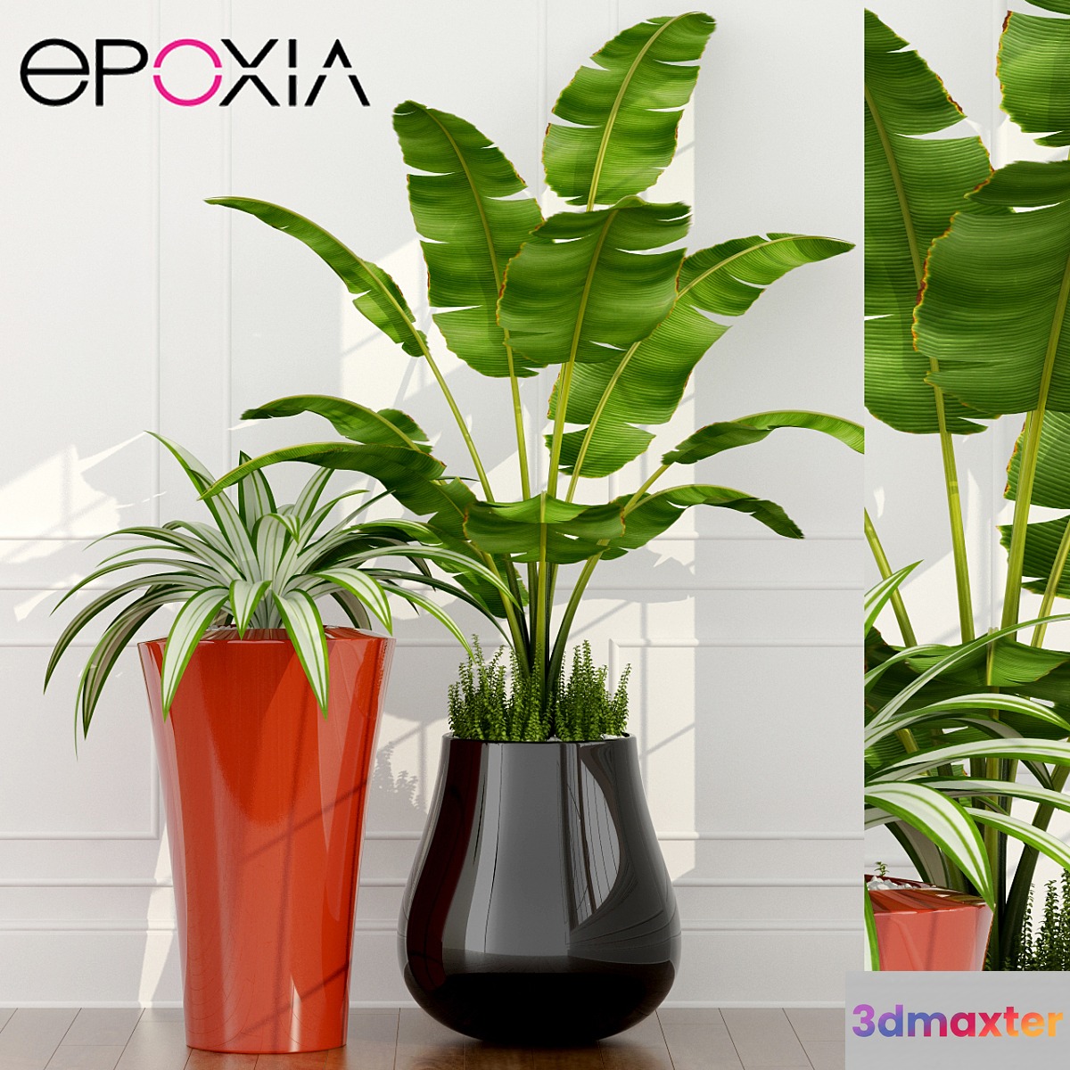 epoxia planters 3D Max