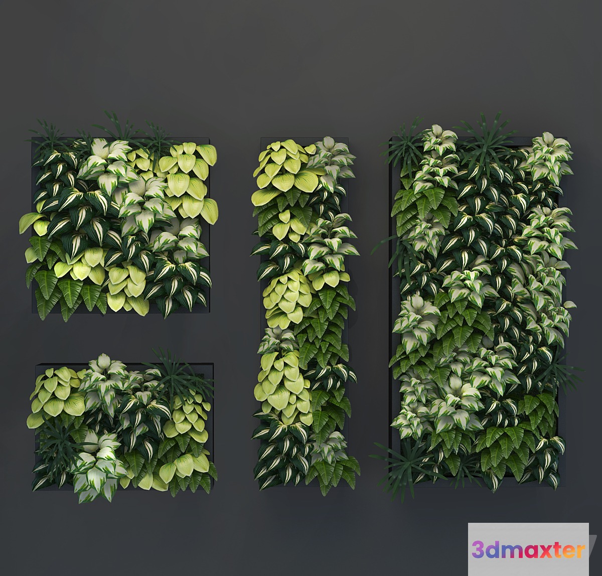Vertical gardening_01