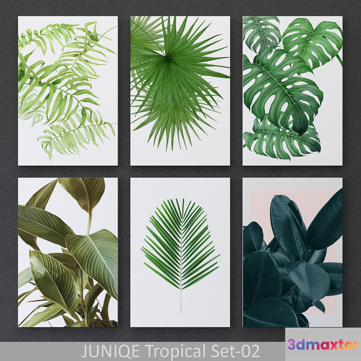 Tropical Set-02 Framed 3D Max