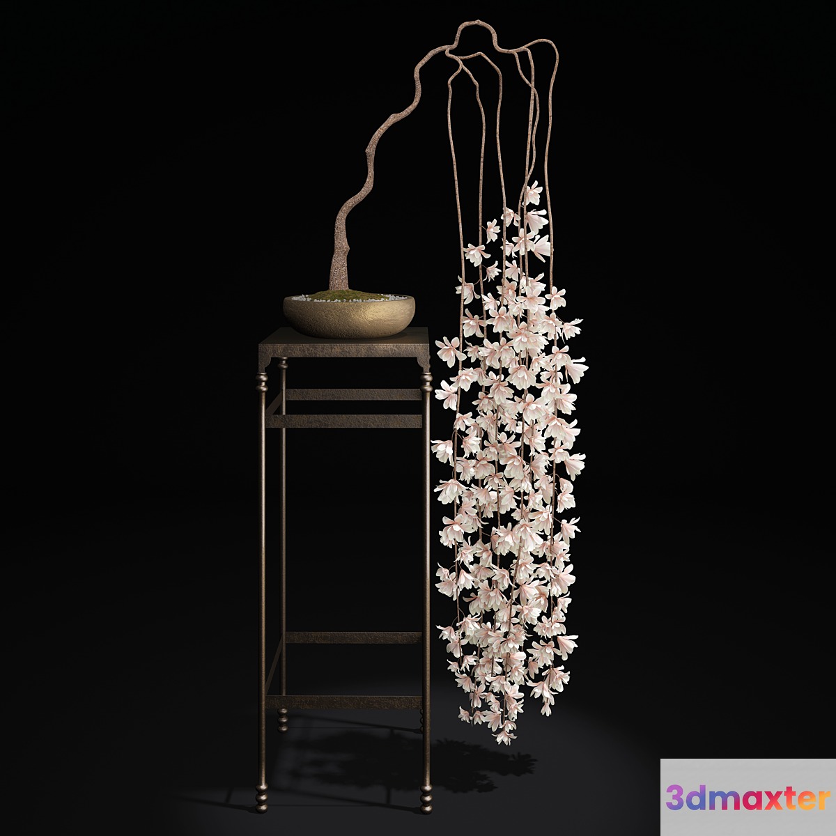 Bonsai-Magnolia 3D Max