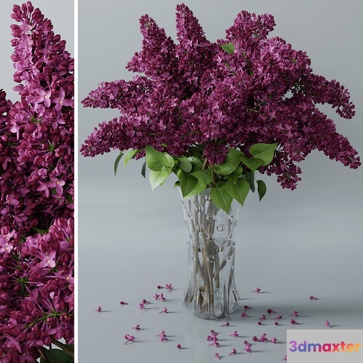 lilac 3 - No.3